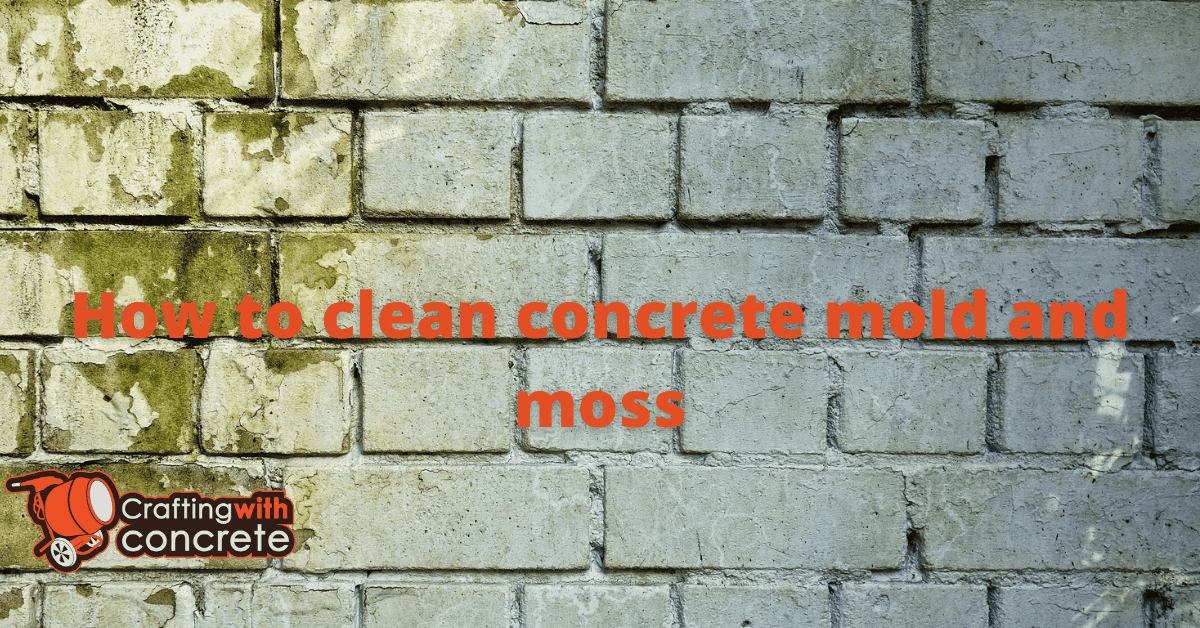 How to clean concrete mold and moss