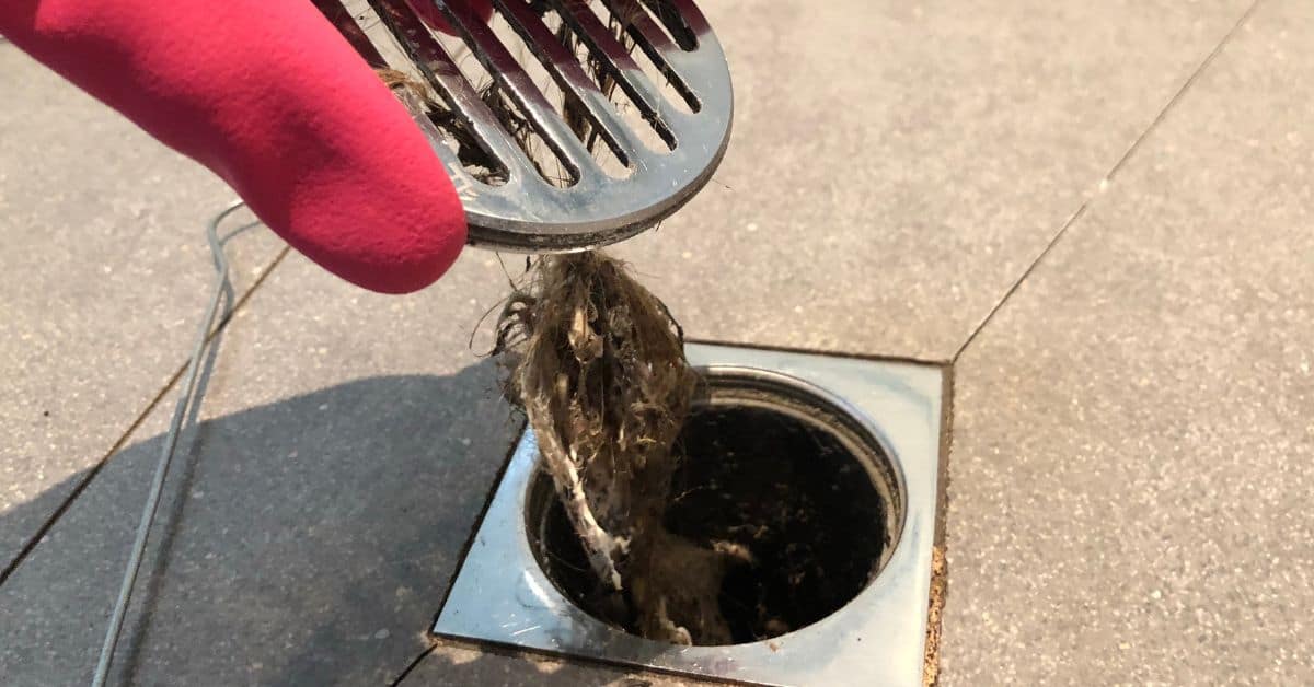 A Comprehensive Guide to the Different Types of Shower Drains