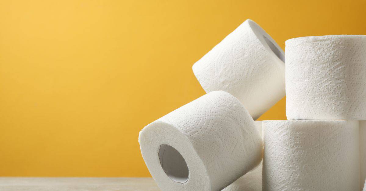 The Inner Workings A Comprehensive Guide on How Does a Toilet Work