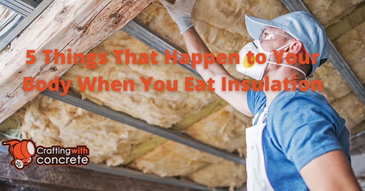 5 Things That Happen to Your Body When You Eat Insulation