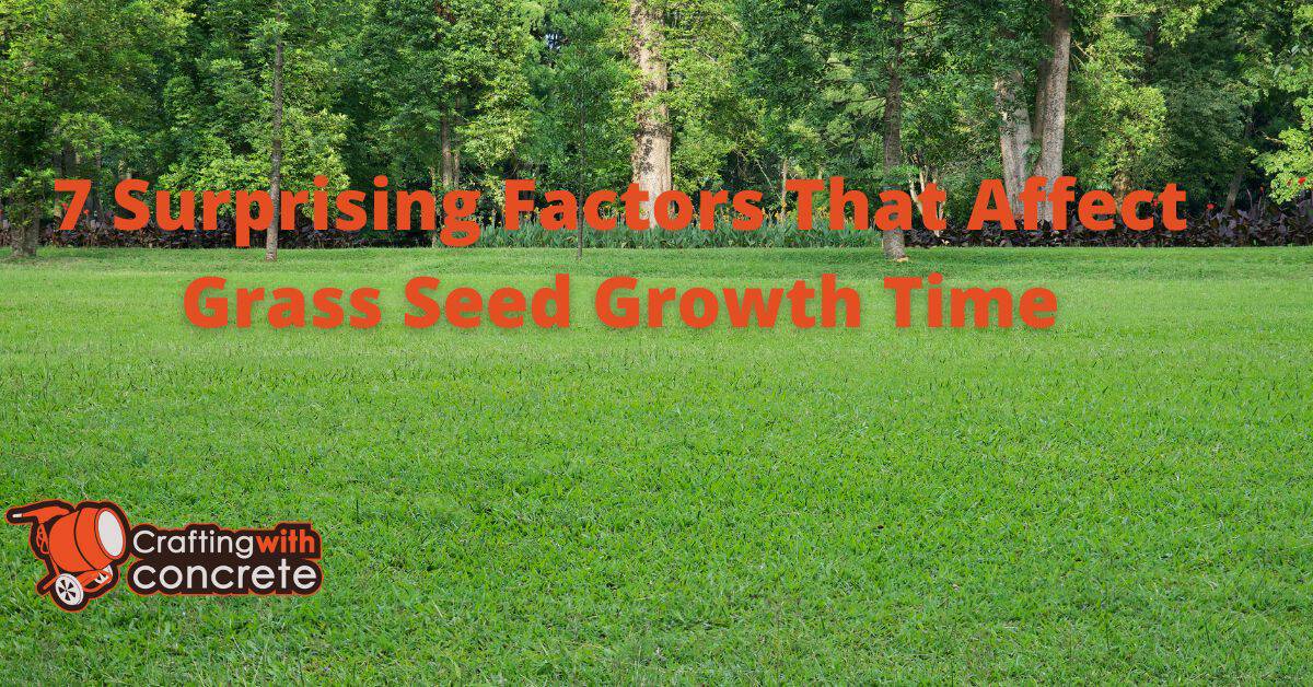 7 Surprising Factors That Affect Grass Seed Growth Time