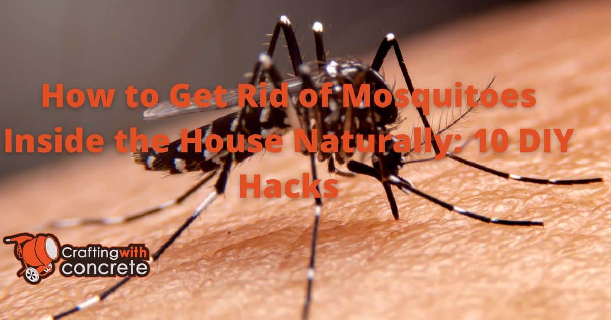 How to Get Rid of Mosquitoes Inside the House Naturally 10 DIY Hacks