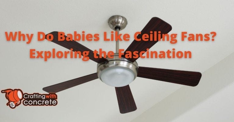 Why Do Babies Like Ceiling Fans