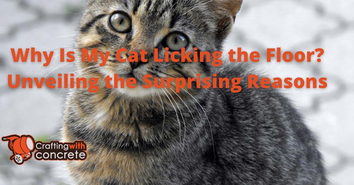 Why Is My Cat Licking the Floor? Unveiling the Surprising Reasons