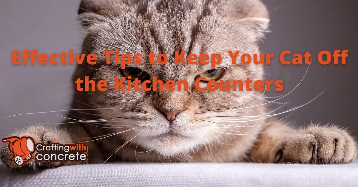 Keep Cats Off Counters: Safe & Effective Tips - craftingwithconcrete.com