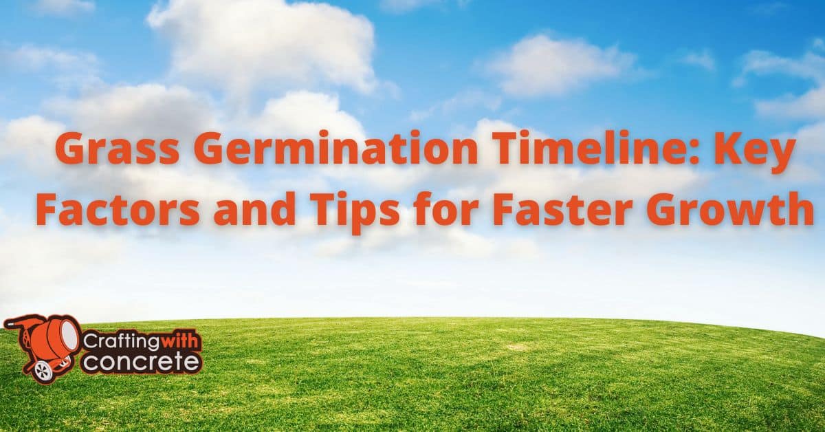 Grass Germination Timeline Know How Long it Takes
