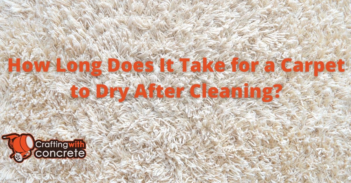 Carpet Drying Time PostCleaning Factors & Tips