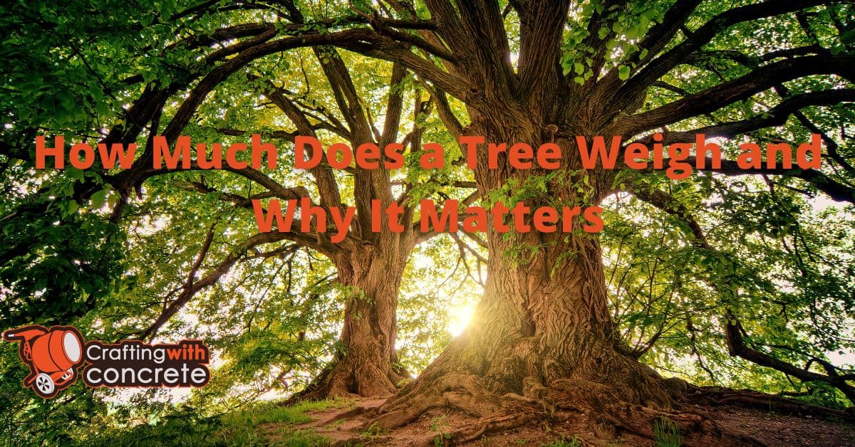 Tree Weight Significance Ecology & Industry Insights