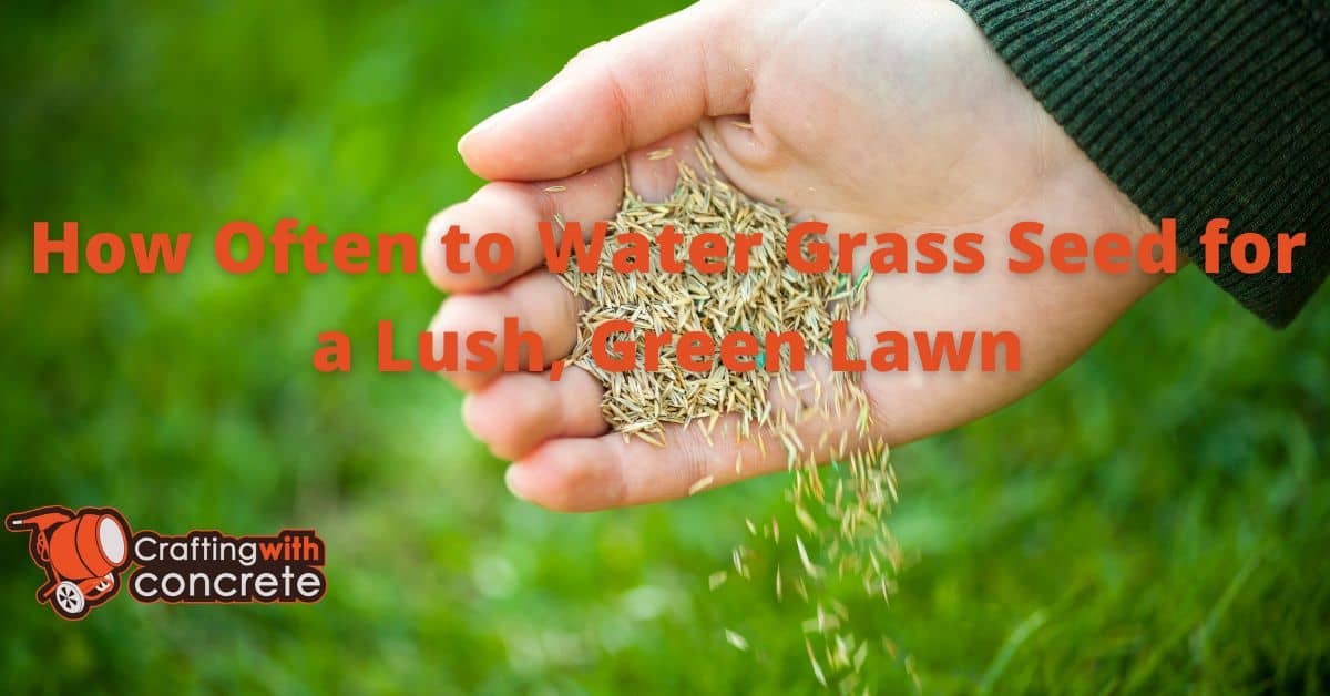 How Often to Water Grass Seed for a Lush, Green Lawn