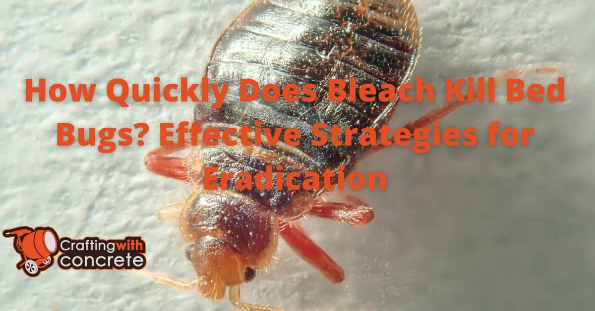 Effective Bed Bug Treatment How Long Does Bleach Take to Kill Bed Bugs