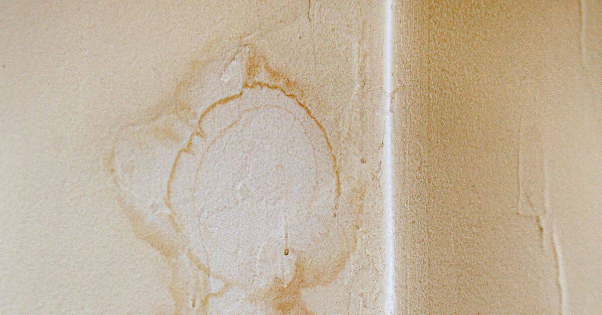 Fix Water Damage Paint Bubbles Complete Repair Guide