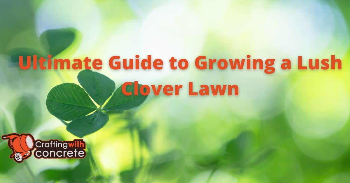 Cultivating a Lush Clover Lawn: Sustainable and Easy Maintenance Guide