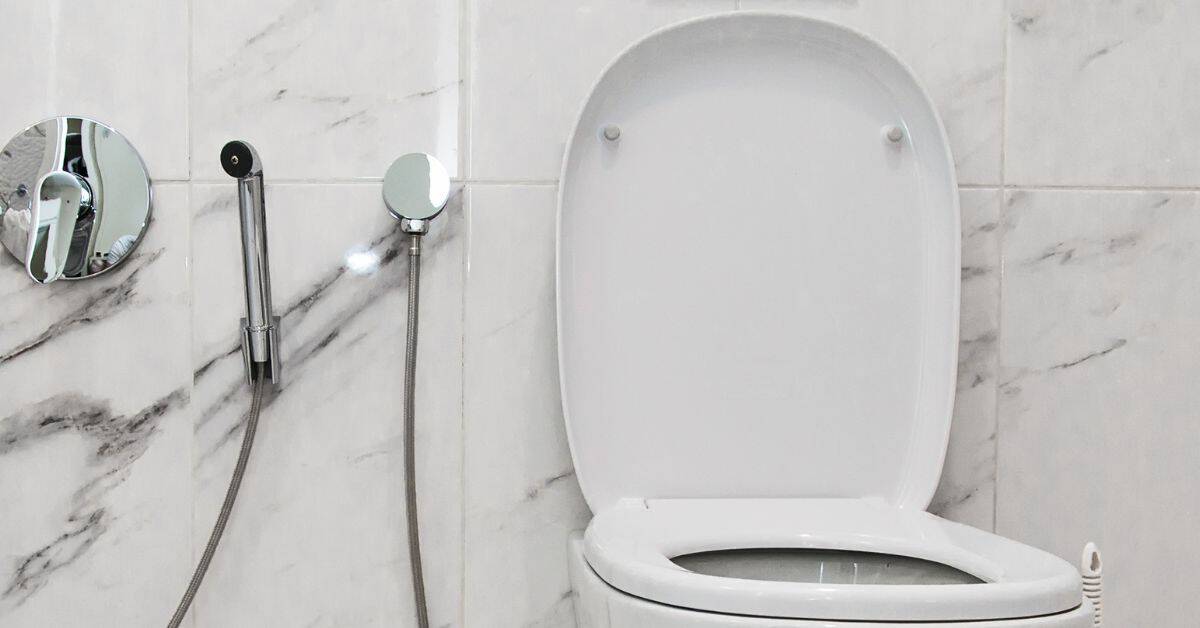 Ultimate Guide to Bidets Benefits & Usage Explained