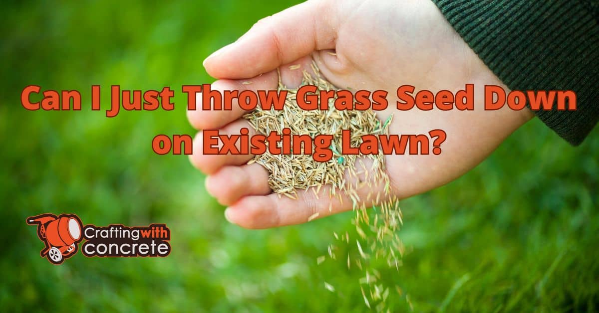 Can i just throw grass seed down on existing lawn