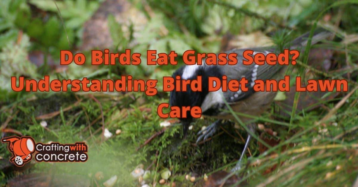 Bird Diet & Lawn Care Protect Grass Seed from Birds