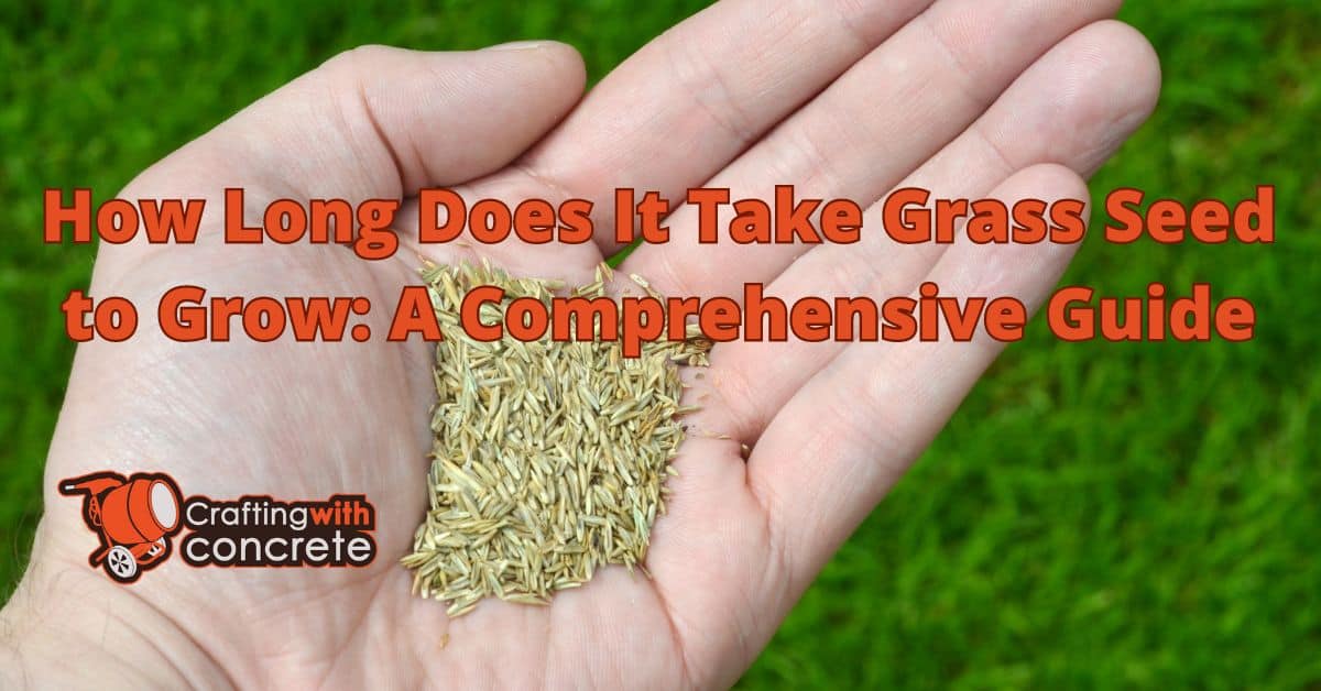 How long does it take grass seed to grow