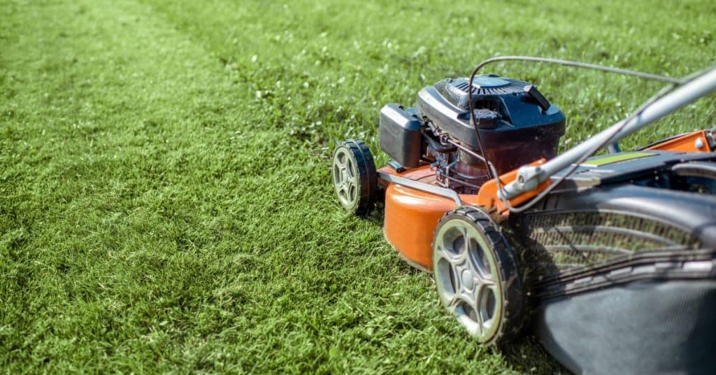 How to drain gas from lawn mower without siphon