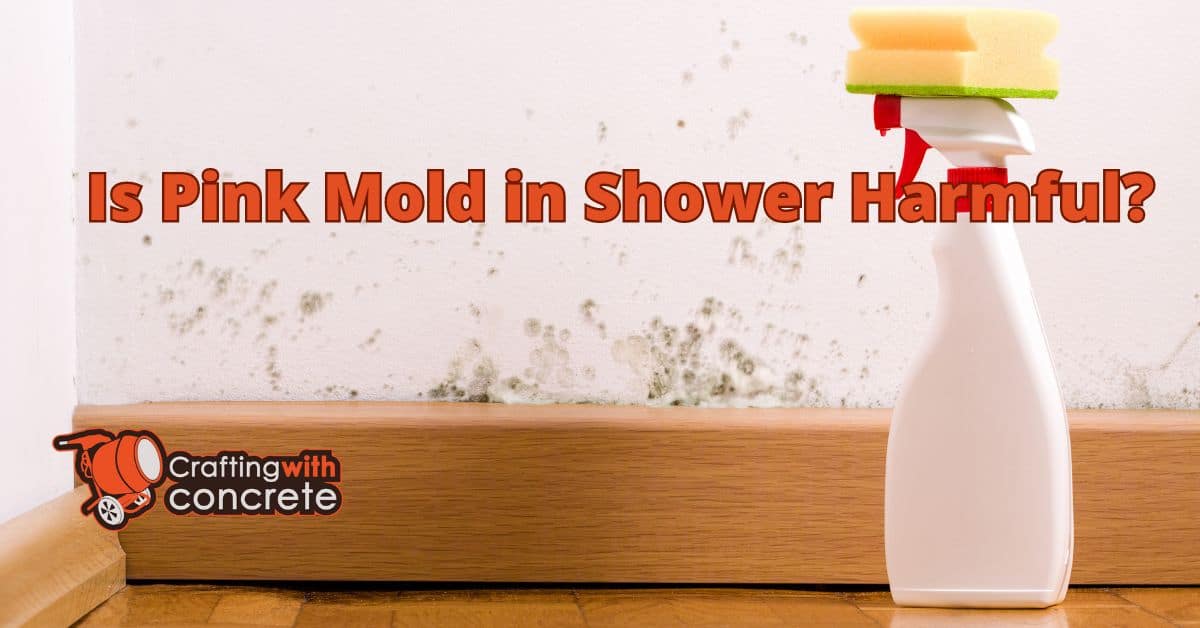 Is pink mold in shower harmful