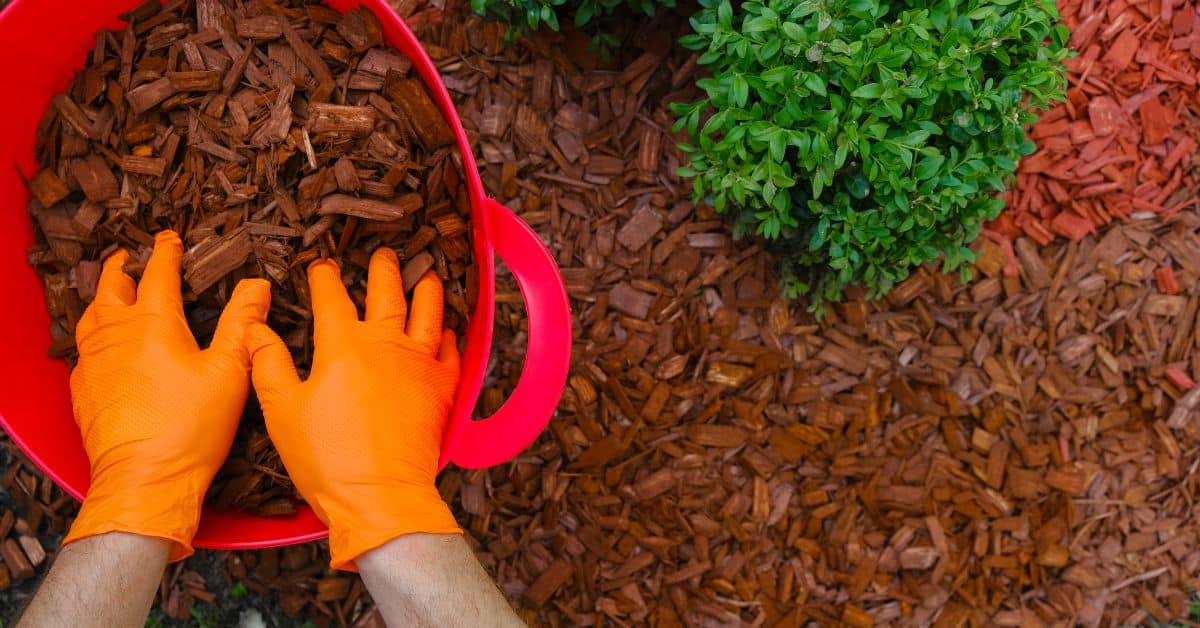 American Soil & Mulch Hours Guide for Gardeners