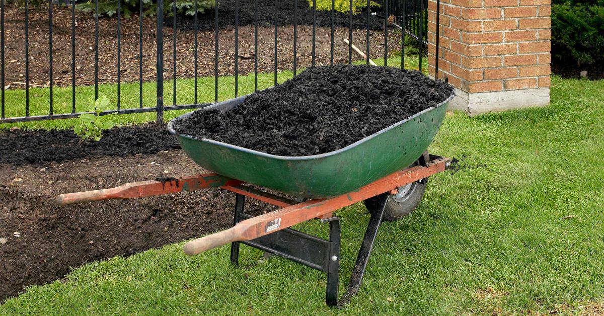 American Soil & Mulch Hours Guide for Gardeners