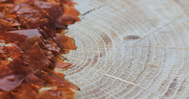 Painting Over Shellac: Tips for a Smooth, Flawless Finish ...