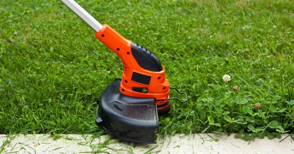 how-long-after-spraying-roundup-can-you-plant-grass-seed