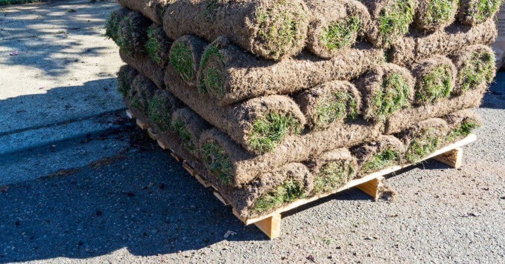 How long can sod sit on a pallet