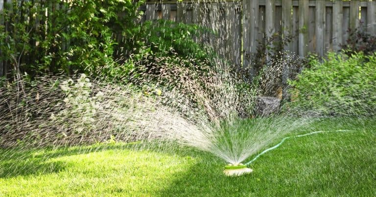 How long should you water your lawn - craftingwithconcrete.com