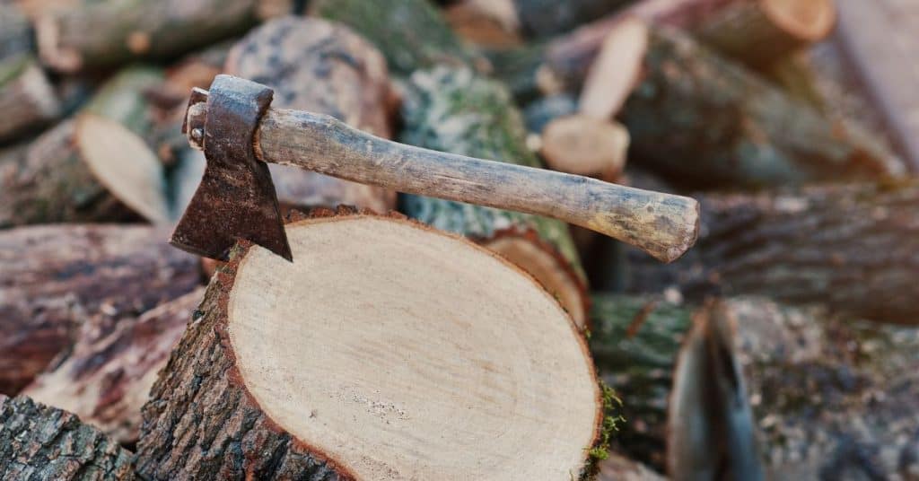 How long to season oak firewood