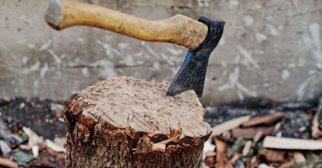 How long to season oak firewood