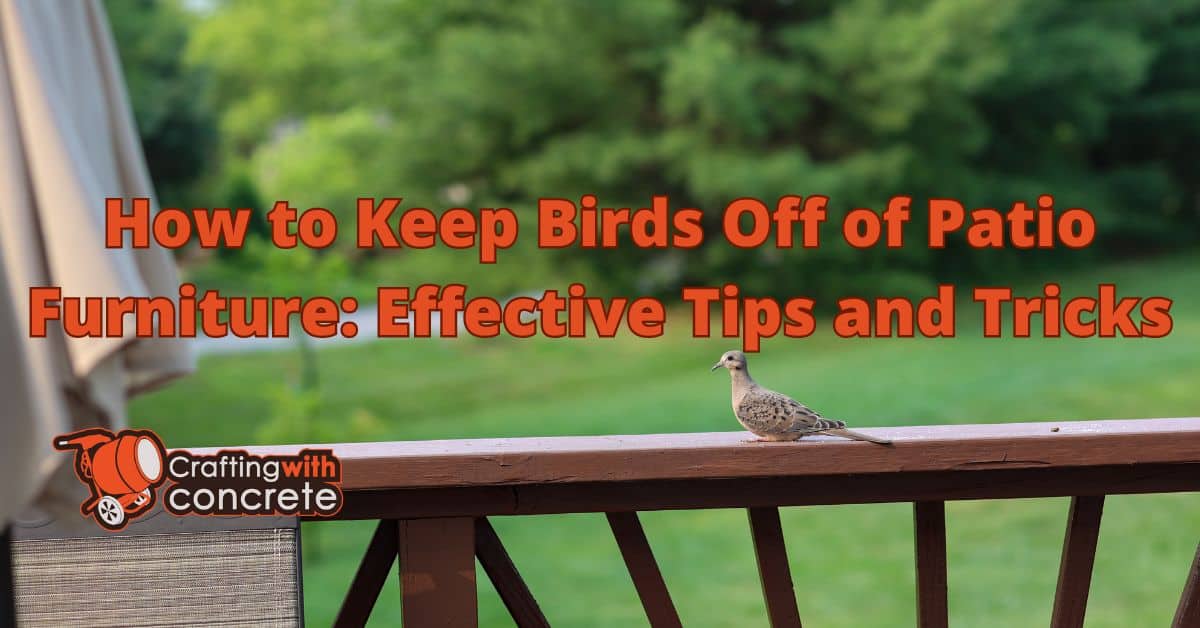 How to keep birds off of patio furniture
