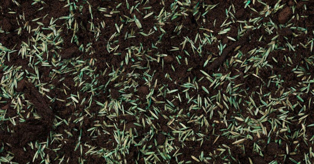 How to keep grass seed from washing away