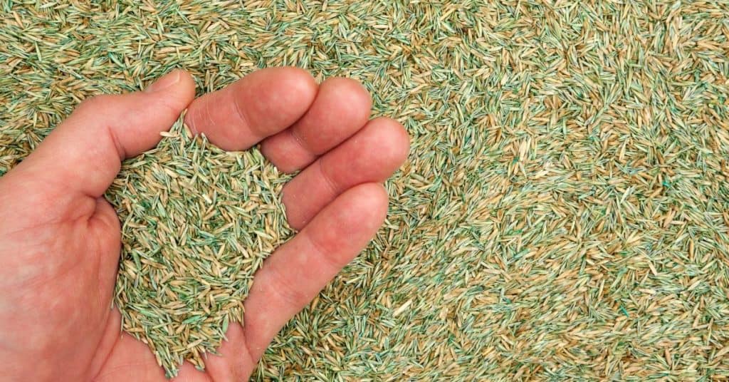 How to keep grass seed from washing away