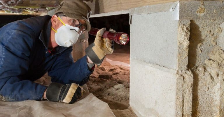 What if house failed termite inspection - craftingwithconcrete.com