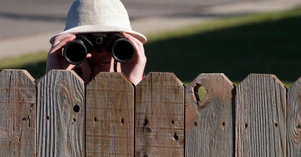 Who is responsible for fence repair between neighbors