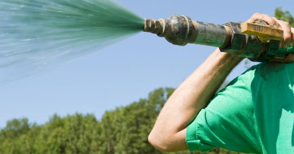 How long for hydroseeding to grow - craftingwithconcrete.com