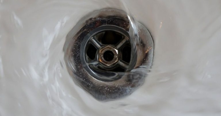 Get Rid Fungus Gnats - Instagram