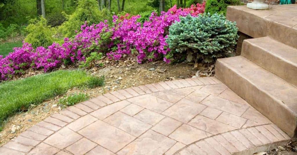 Curved stamped concrete patio edge beside stair steps and garden bed.