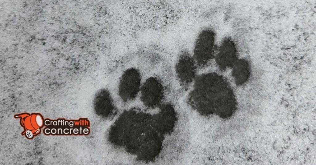 Fixing Footprints and Pet Prints Before They Set