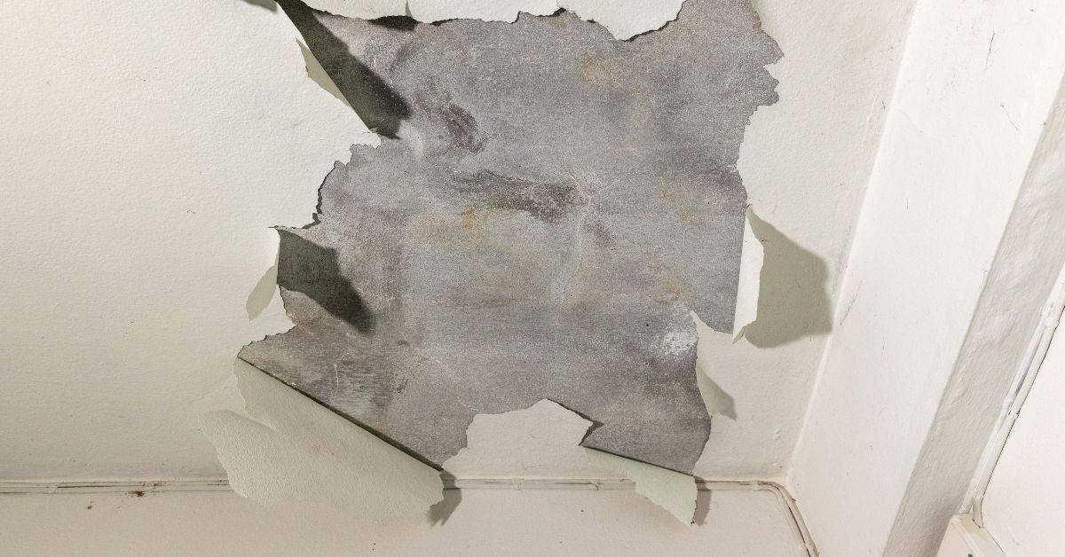 Peeling white paint revealing rough concrete ceiling surface