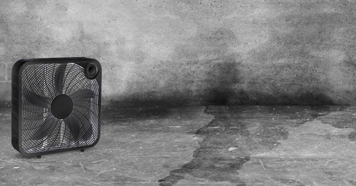 Black box fan on floor with dark damp stains on concrete wall