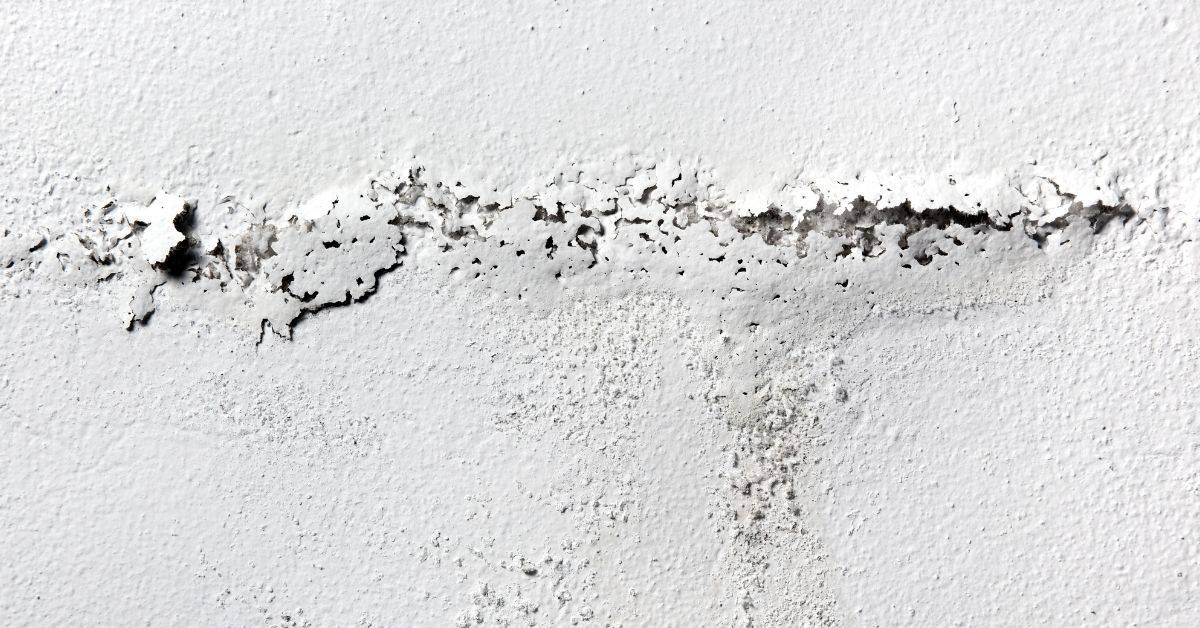 White painted concrete wall with peeling paint