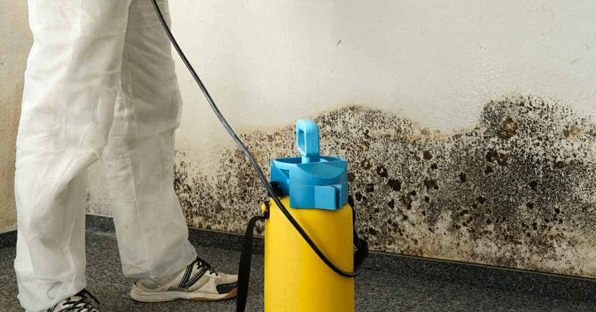 Person in protective suit spraying moldy wall near floor