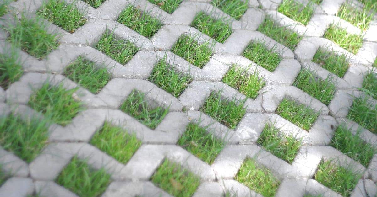 Concrete grid pavers with grass growing in the gaps