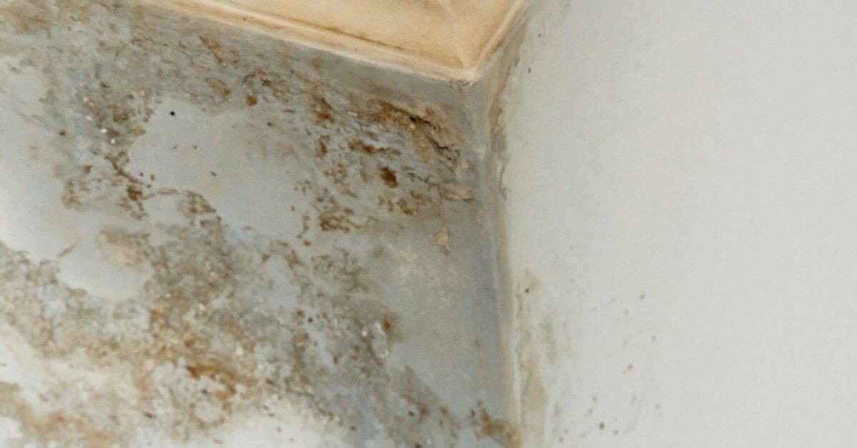 Corner of wall with visible water damage and mold patches