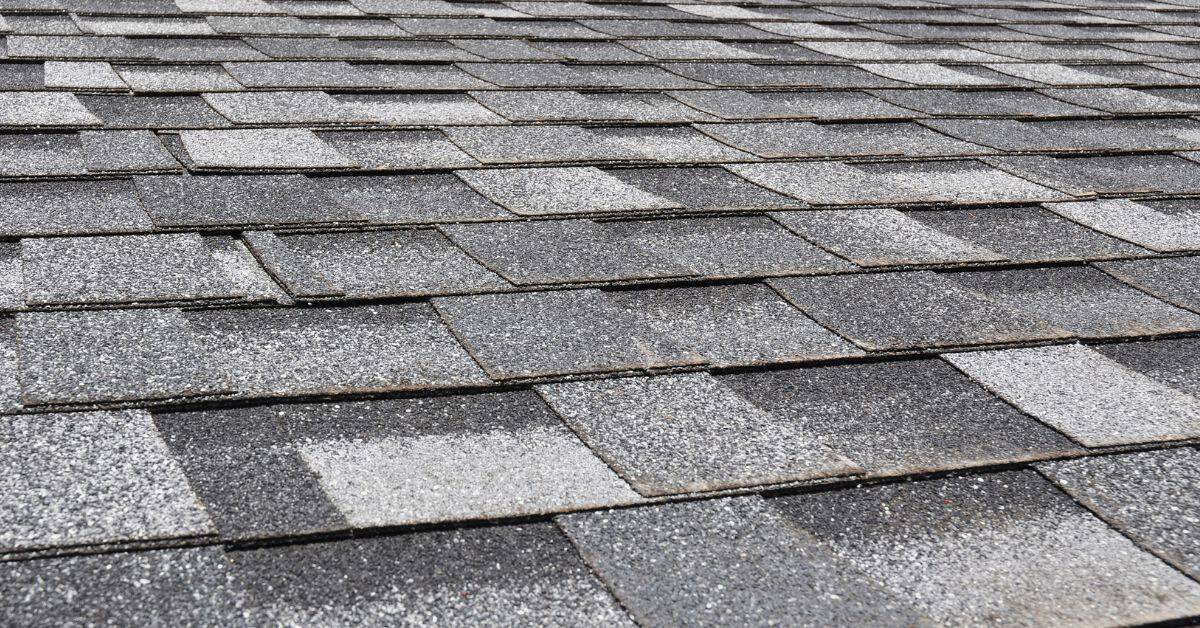 Close-up of gray asphalt shingle roof
