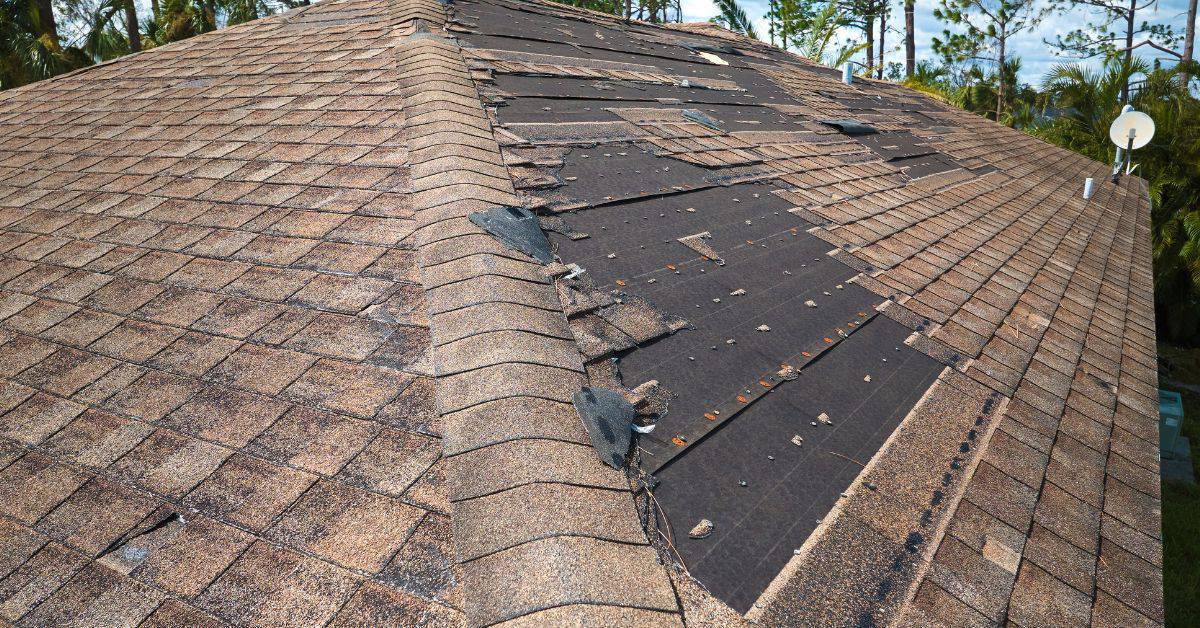 Roof with numerous missing and damaged asphalt shingles