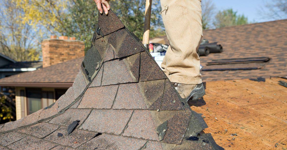 Person removing asphalt shingles from roof surface
