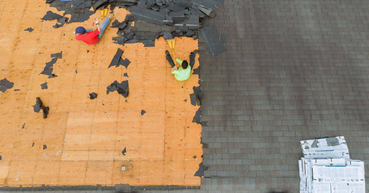 Two workers removing black shingles from wooden roof deck