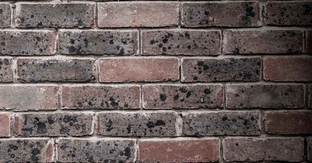 Rusting Reinforcement Stains: How to Treat the Cause